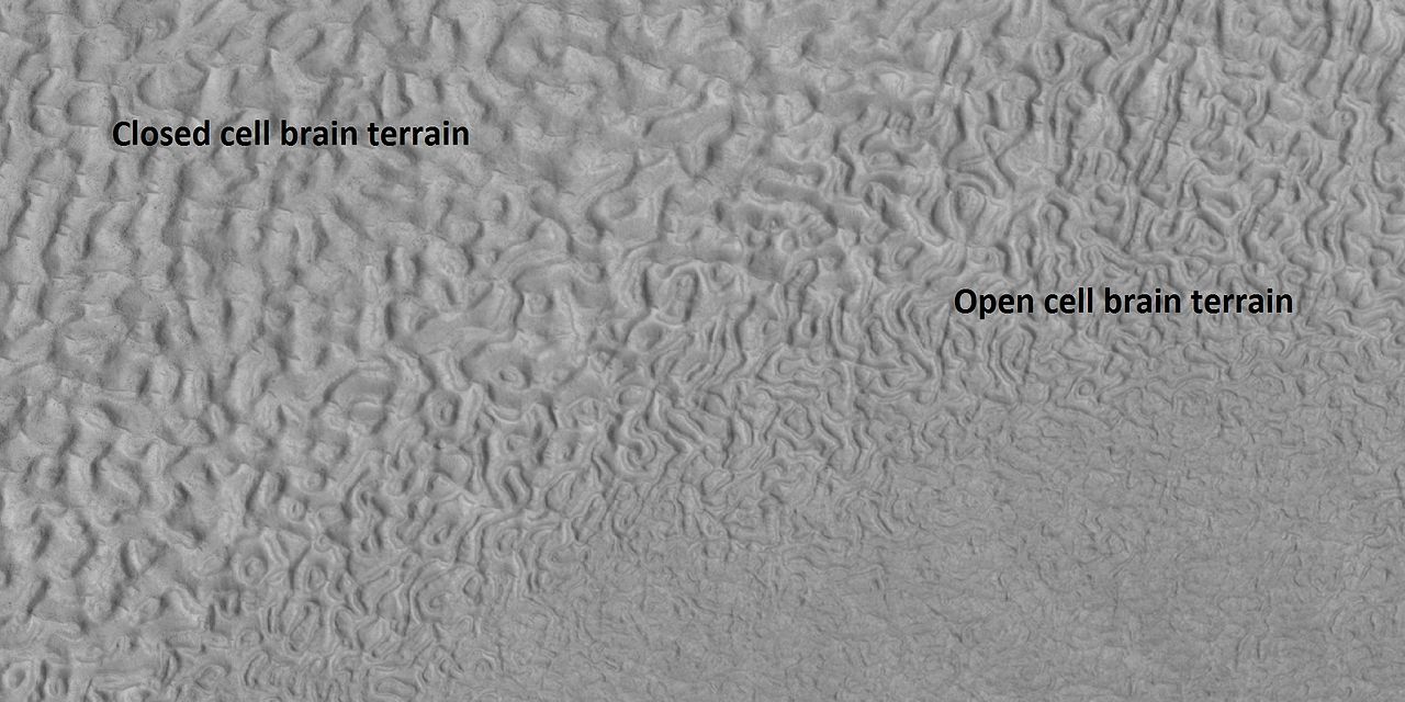 Open and closed brain terrain [35]