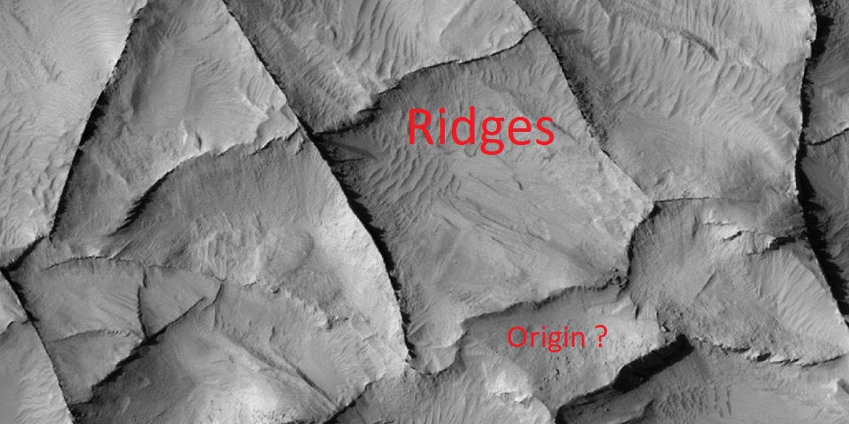 Close view of ridges We are sure how these were formed, but we have come up with a few possibilities.