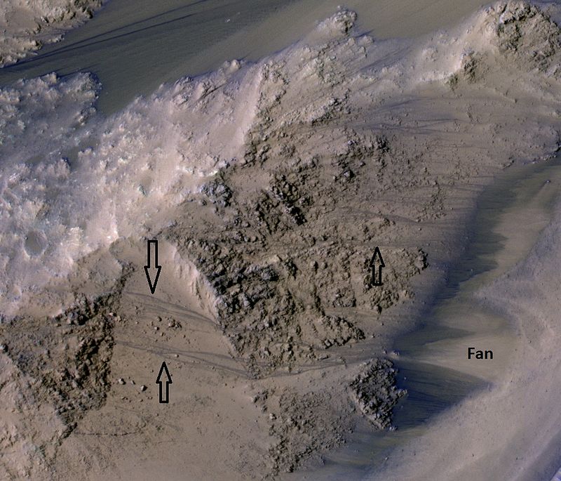 Recurrent slope lineae (RSL) They form in warm seasons.