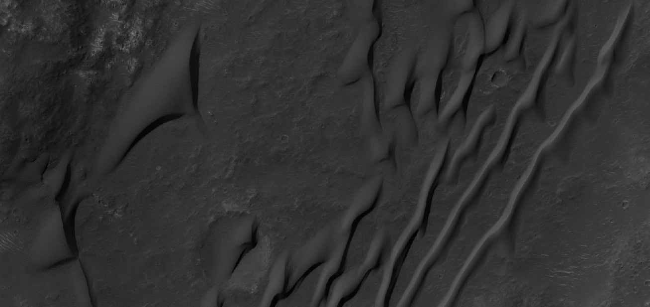 Wide view of a group of dunes taken just in black and white