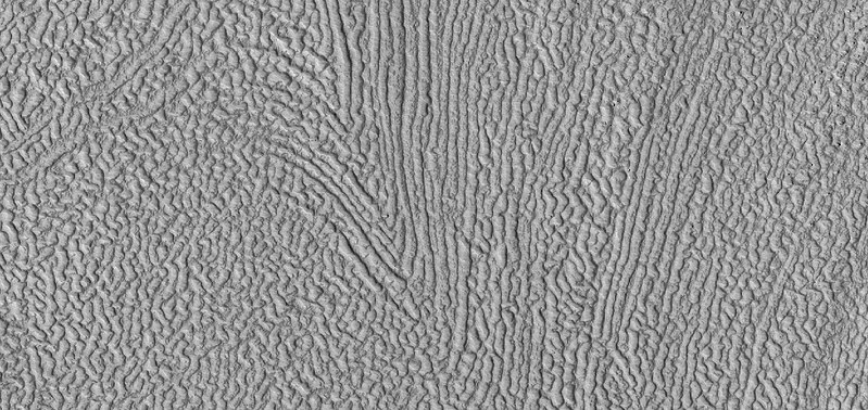 Close view of brain terrain, as seen by HiRISE under HiWish program