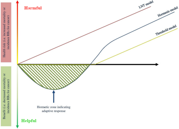 3 Ways to Model Radiation Damage