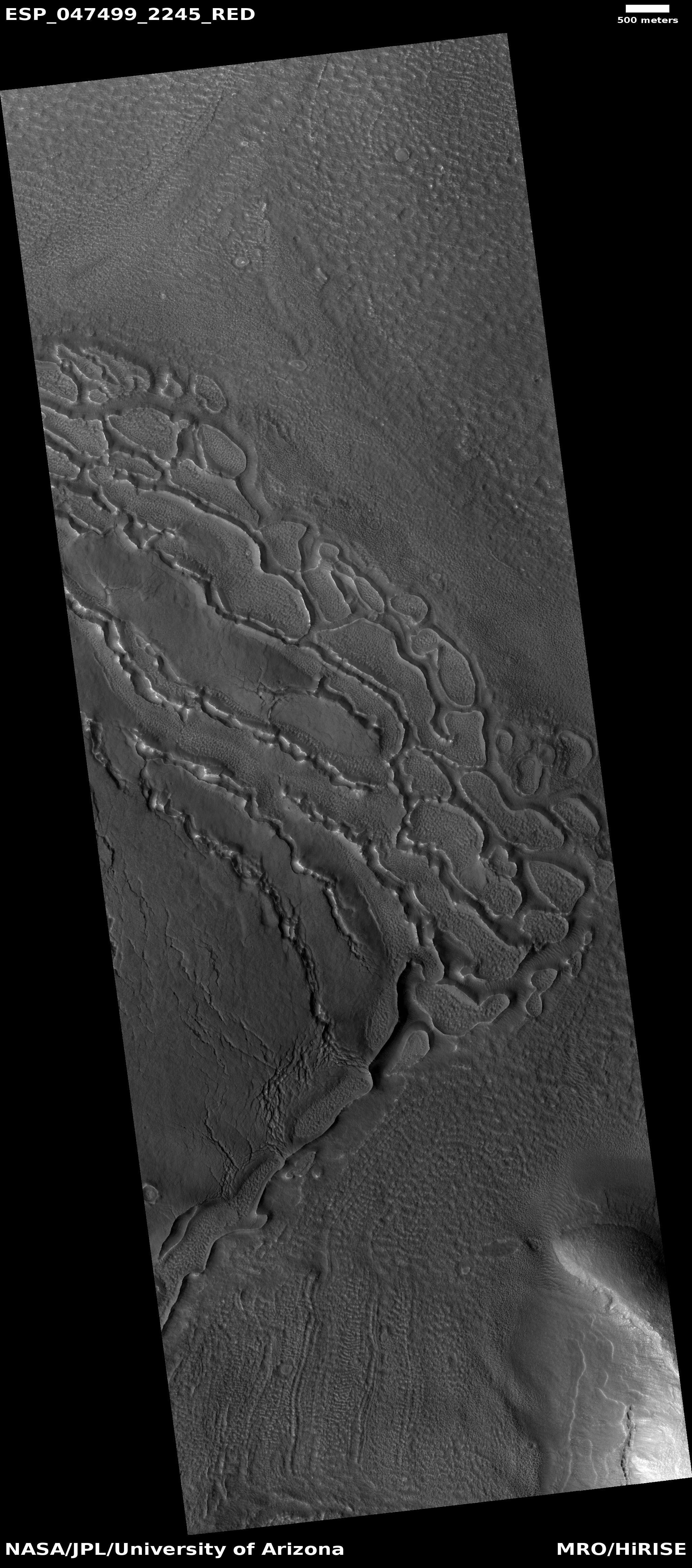 Wide view of ribbed terrain in Ismenius Lacus quadrangle