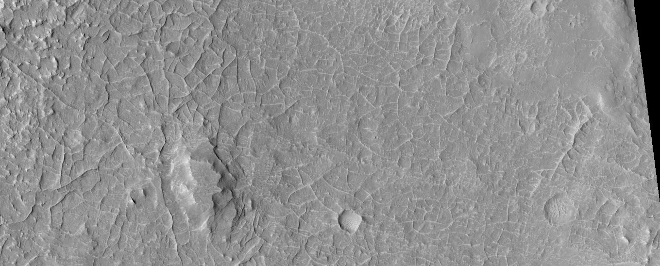Ridge network in Mare Tyrrhenum quadrangle