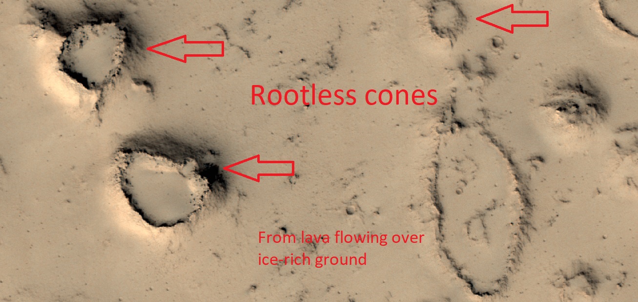 Rootless cones
